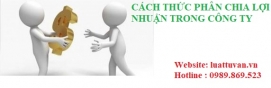 Cách thức phân chia lợi nhuận trong công ty