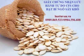 Giấy chứng nhận lưu hành tự do CFS cho Hạt bí ngô sấy khô