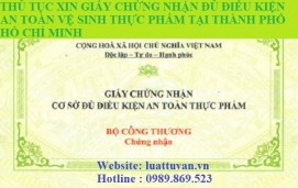 Thủ tục xin giấy chứng nhận đủ điều kiện an toàn vệ sinh thực phẩm tại Thành phố Hồ Chí Minh