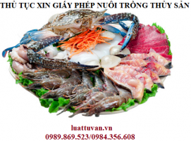 Thủ tục xin giấy phép nuôi trồng thủy sản