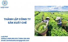 Thành lập công ty sản xuất chè