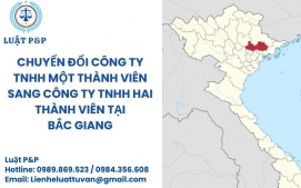 Chuyển đổi công ty TNHH một thành viên sang công ty TNHH hai thành viên tại Bắc Giang