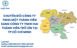 Chuyển đổi loại hình từ Công ty TNHH một thành viên sang Công ty TNHH hai thành viên trở lên tại Thành phố Hồ Chí Minh