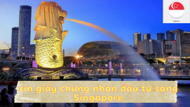 Thủ tục xin giấy chứng nhận đầu tư sang Singapore