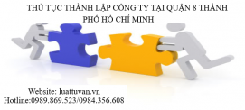 Thủ tục thành lập Công ty tại Quận 8 Thành phố Hồ Chí Minh